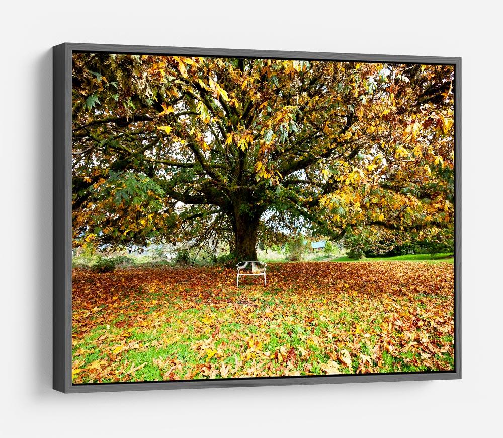 Autumn Leaves HD Metal Print
