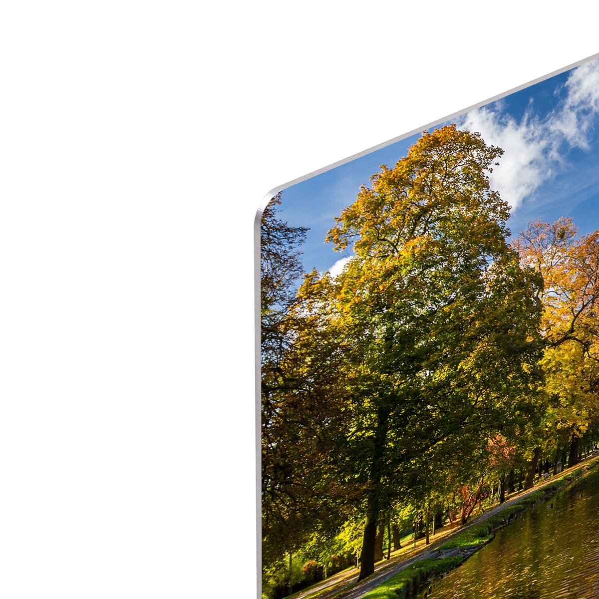 autumn park on the river HD Metal Print