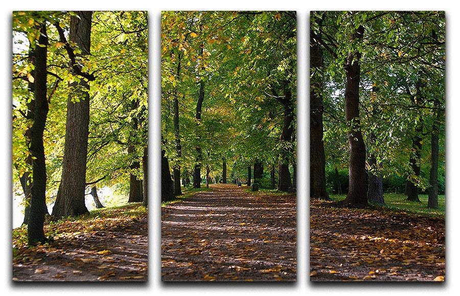 autumn road with leaves in park 3 Split Panel Canvas Print - Canvas Art Rocks - 1