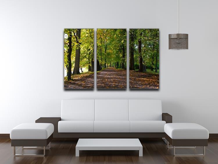 autumn road with leaves in park 3 Split Panel Canvas Print - Canvas Art Rocks - 3