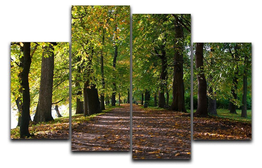 autumn road with leaves in park 4 Split Panel Canvas  - Canvas Art Rocks - 1