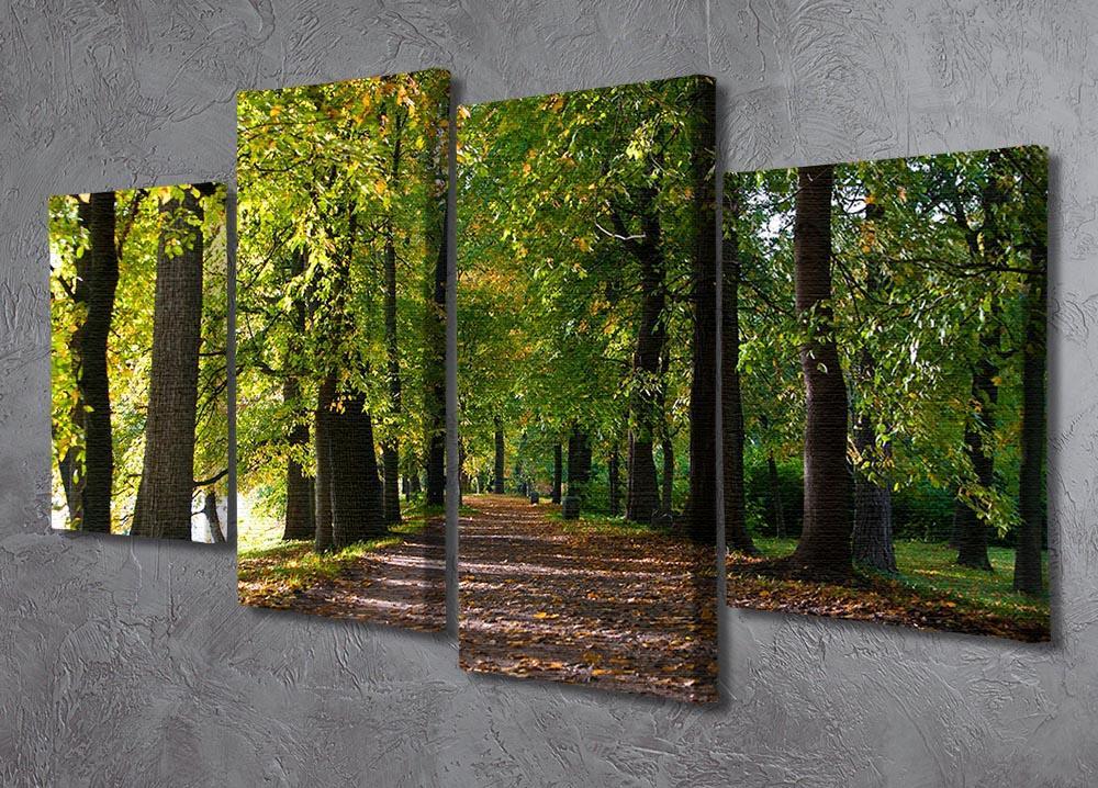 autumn road with leaves in park 4 Split Panel Canvas  - Canvas Art Rocks - 2
