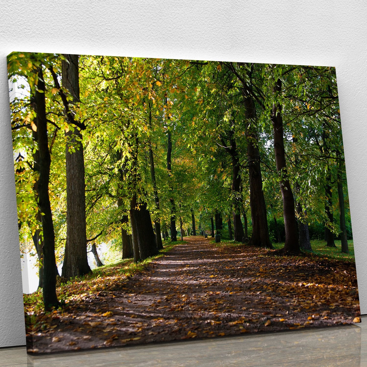 autumn road with leaves in park Canvas Print or Poster