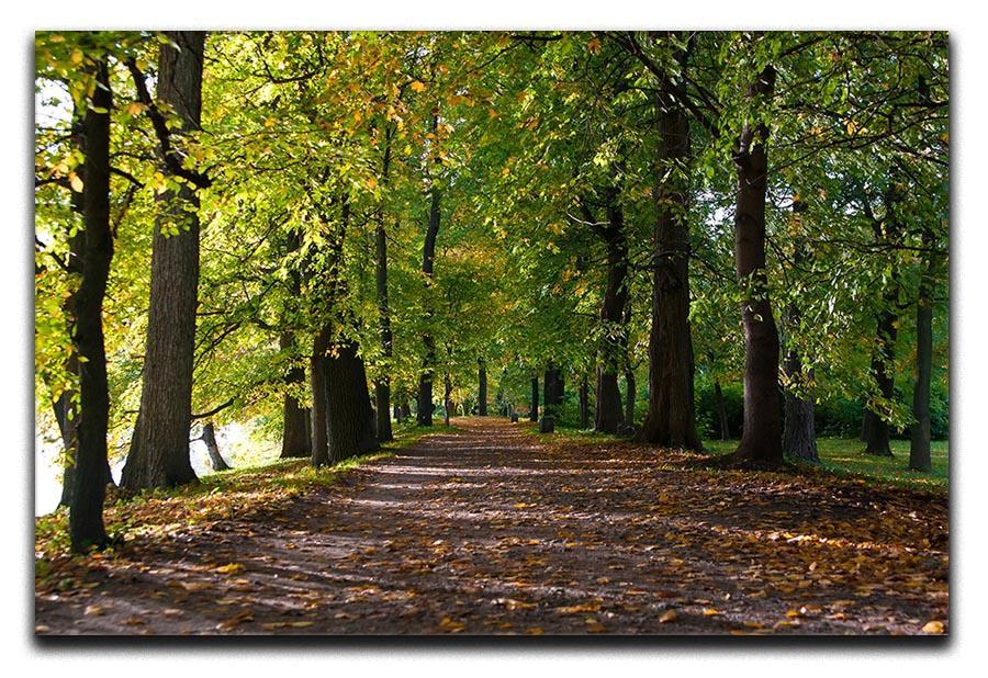 autumn road with leaves in park Canvas Print or Poster  - Canvas Art Rocks - 1