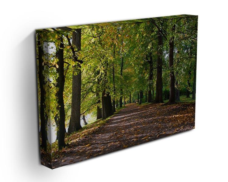 autumn road with leaves in park Canvas Print or Poster - Canvas Art Rocks - 3