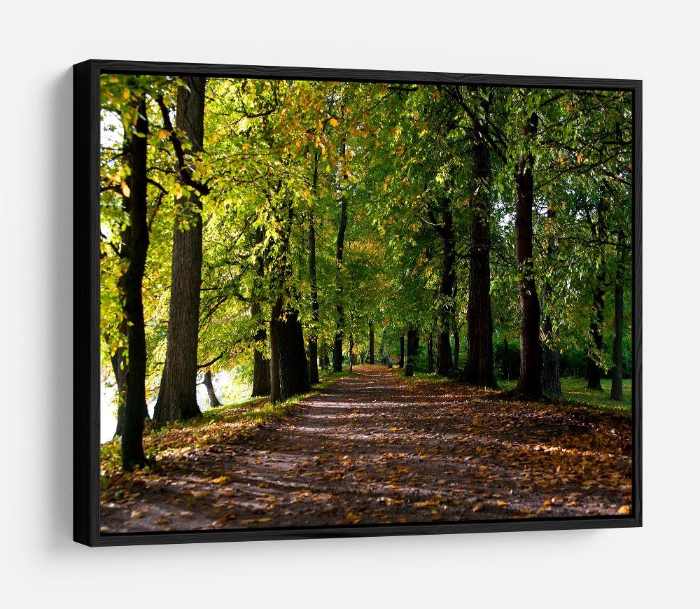 autumn road with leaves in park HD Metal Print