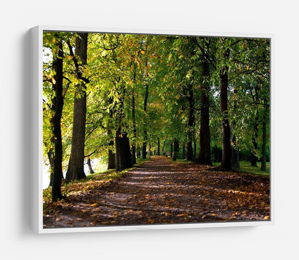 autumn road with leaves in park HD Metal Print