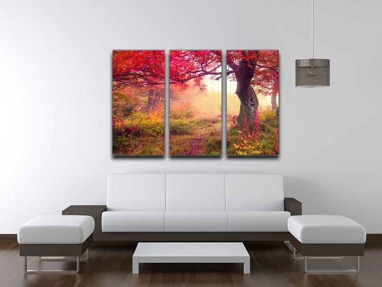autumn trees in forest 3 Split Panel Canvas Print - Canvas Art Rocks - 3