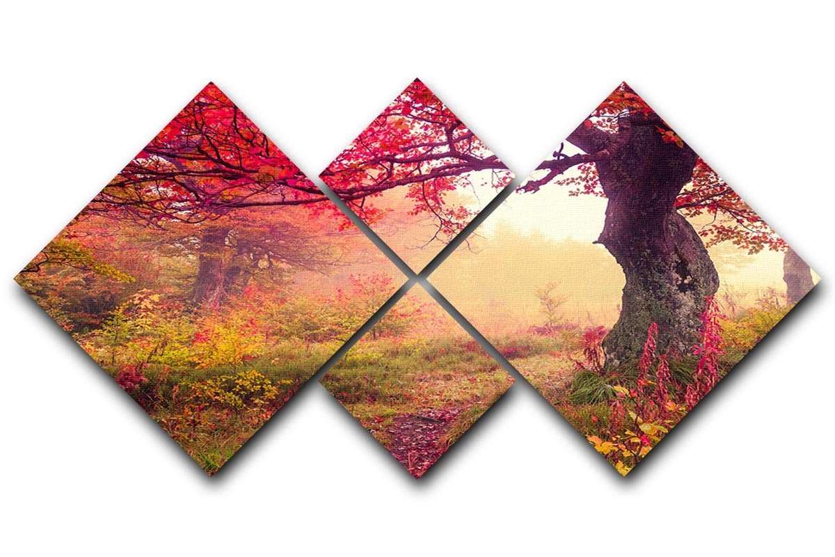 autumn trees in forest 4 Square Multi Panel Canvas  - Canvas Art Rocks - 1