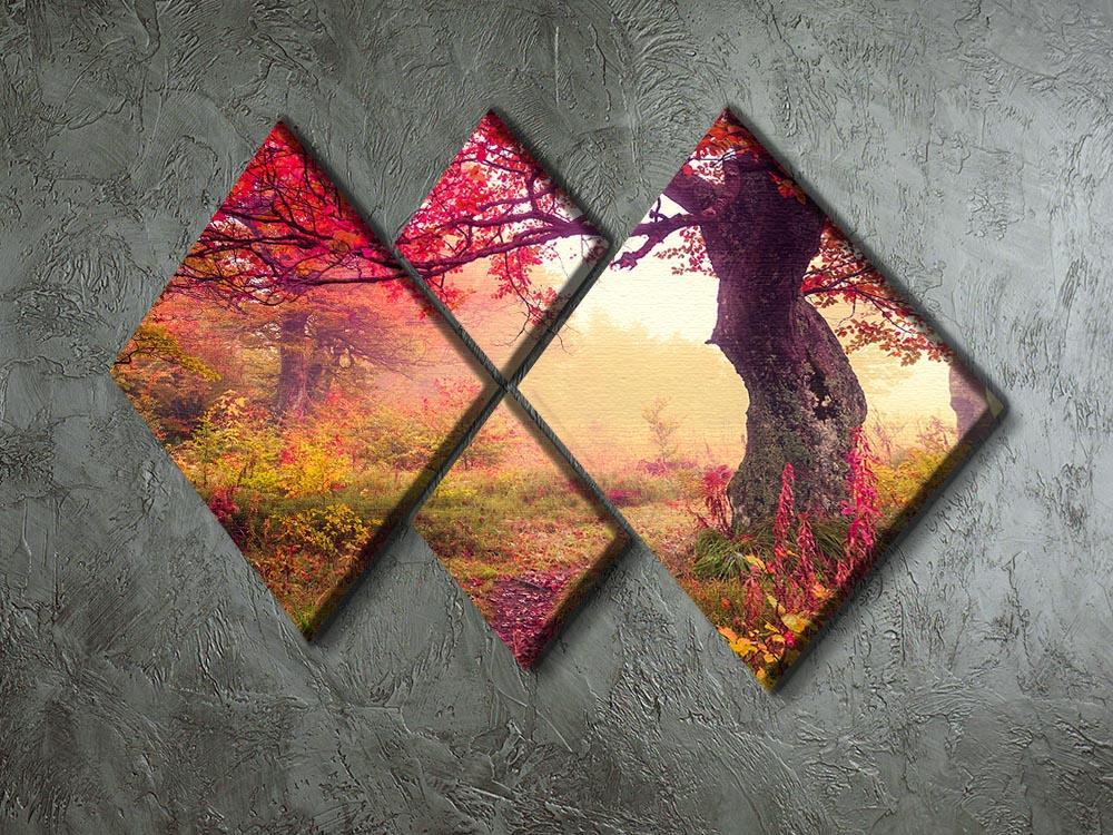 autumn trees in forest 4 Square Multi Panel Canvas  - Canvas Art Rocks - 2