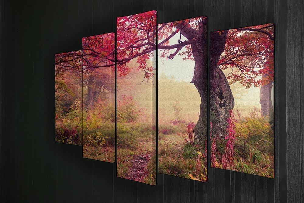 autumn trees in forest 5 Split Panel Canvas  - Canvas Art Rocks - 2