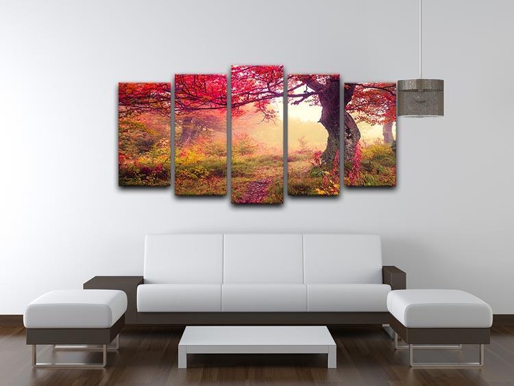 autumn trees in forest 5 Split Panel Canvas  - Canvas Art Rocks - 3