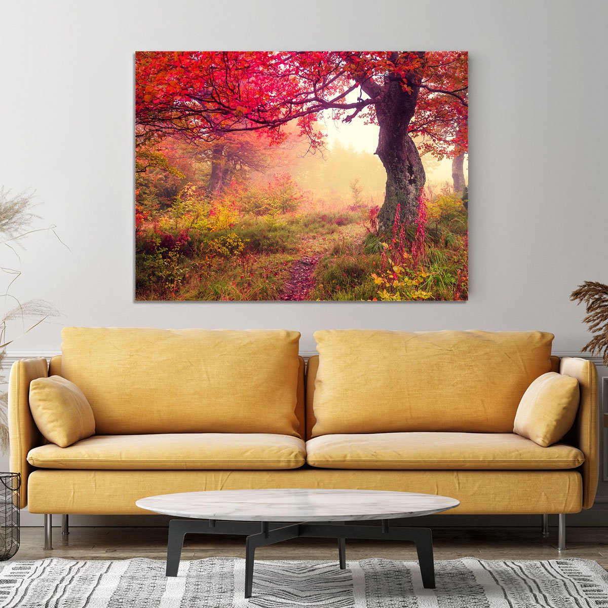 autumn trees in forest Canvas Print or Poster