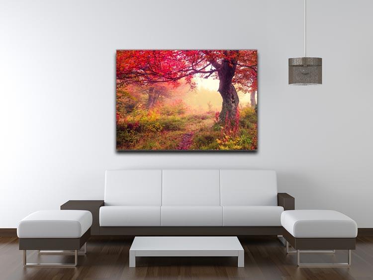 autumn trees in forest Canvas Print or Poster - Canvas Art Rocks - 4