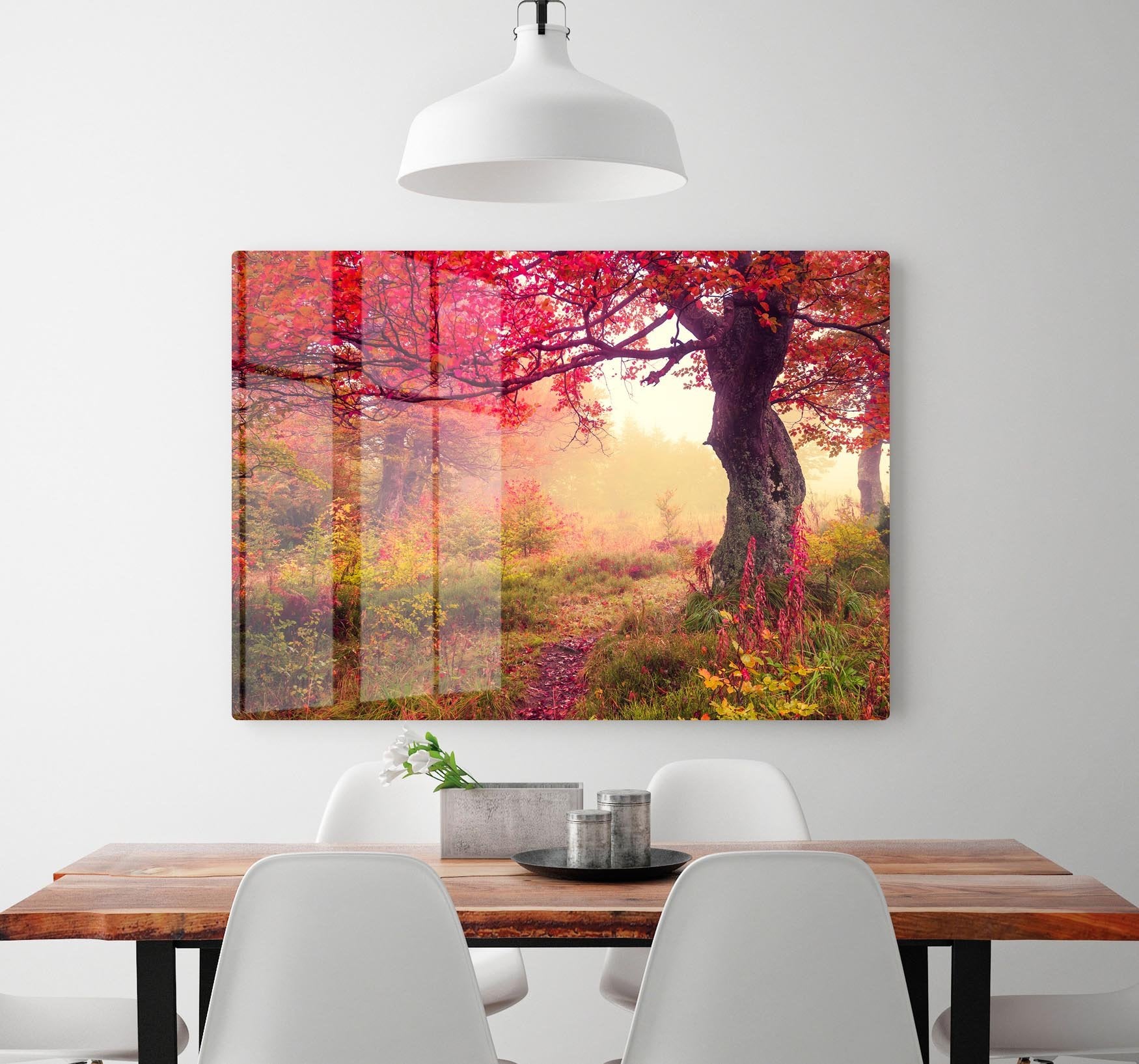 autumn trees in forest HD Metal Print