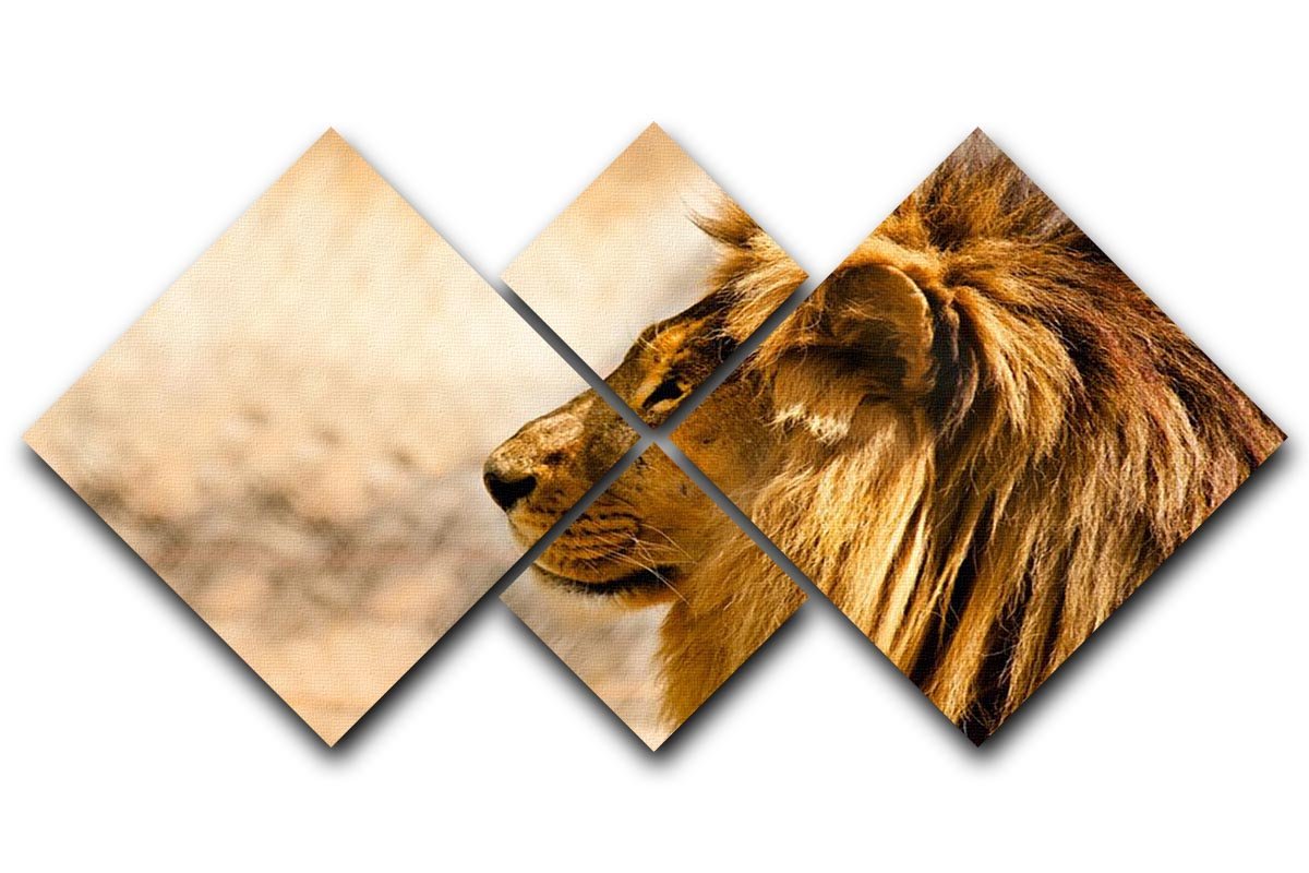 beautiful African lion relaxing on the sun 4 Square Multi Panel Canvas - Canvas Art Rocks - 1