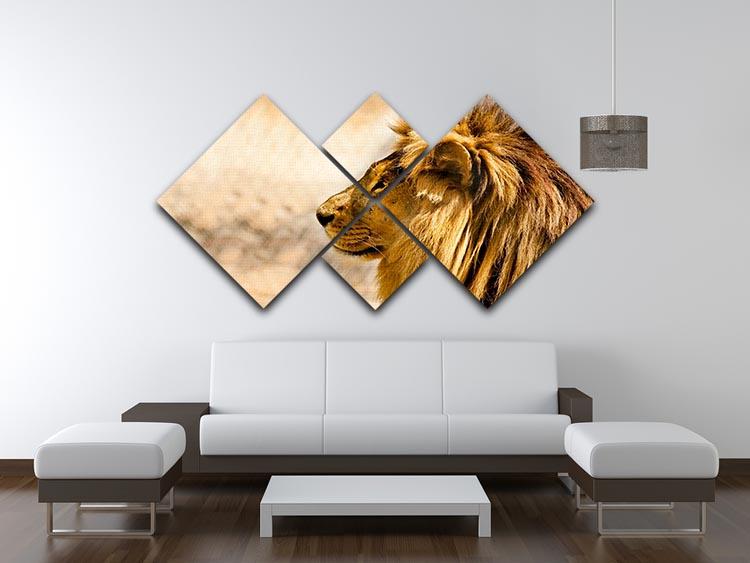 beautiful African lion relaxing on the sun 4 Square Multi Panel Canvas - Canvas Art Rocks - 3