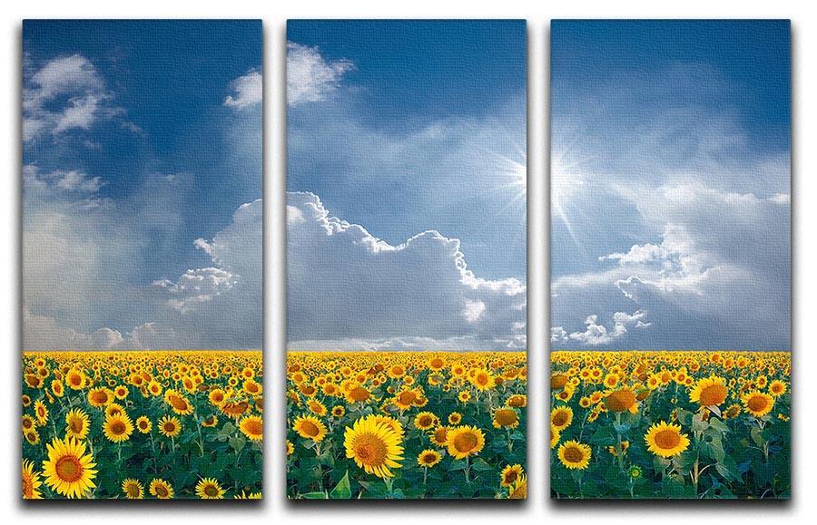 big sunflowers field and blue sky 3 Split Panel Canvas Print - Canvas Art Rocks - 1
