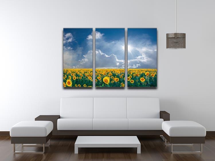 big sunflowers field and blue sky 3 Split Panel Canvas Print - Canvas Art Rocks - 3