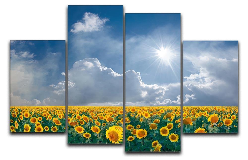 big sunflowers field and blue sky 4 Split Panel Canvas  - Canvas Art Rocks - 1