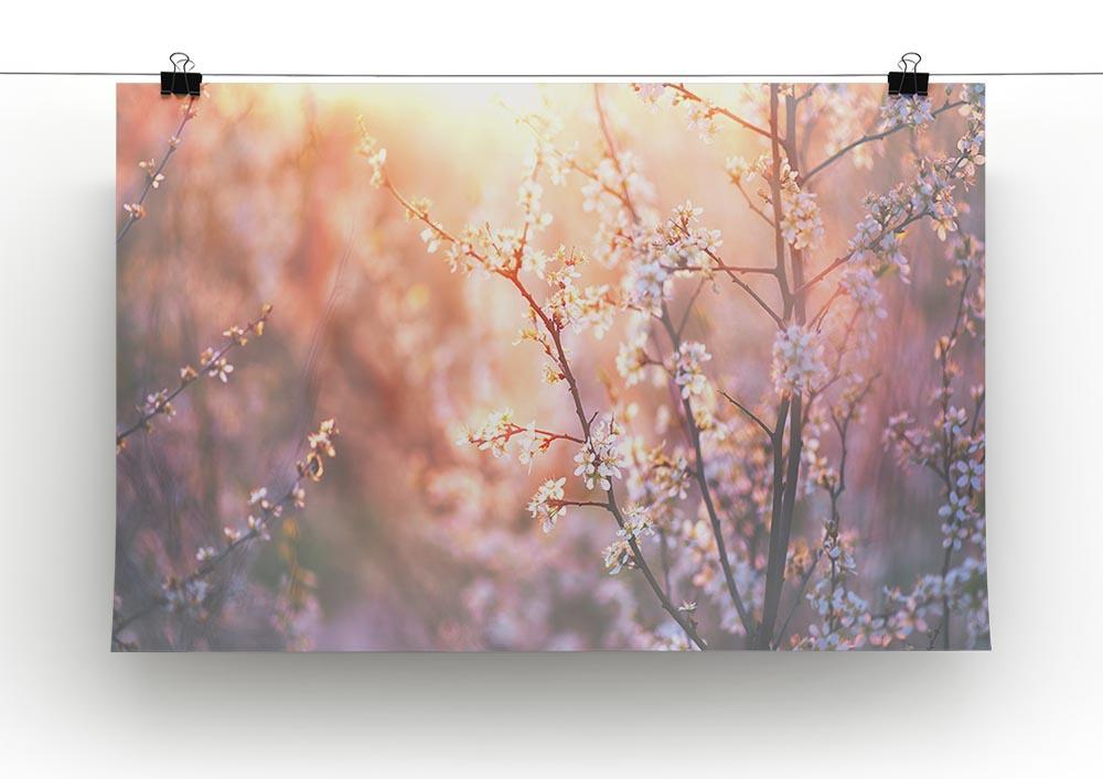 blooming tree and sun flare Canvas Print or Poster - Canvas Art Rocks - 2