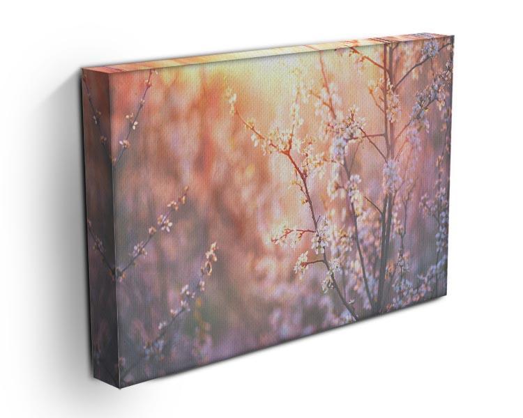 blooming tree and sun flare Canvas Print or Poster - Canvas Art Rocks - 3