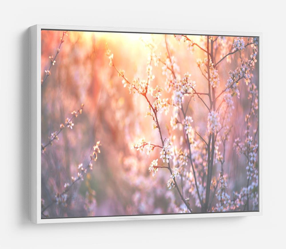 blooming tree and sun flare HD Metal Print