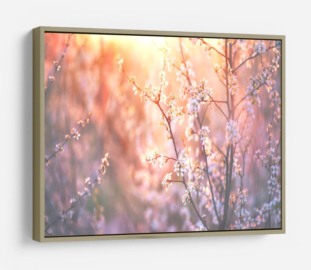 blooming tree and sun flare HD Metal Print