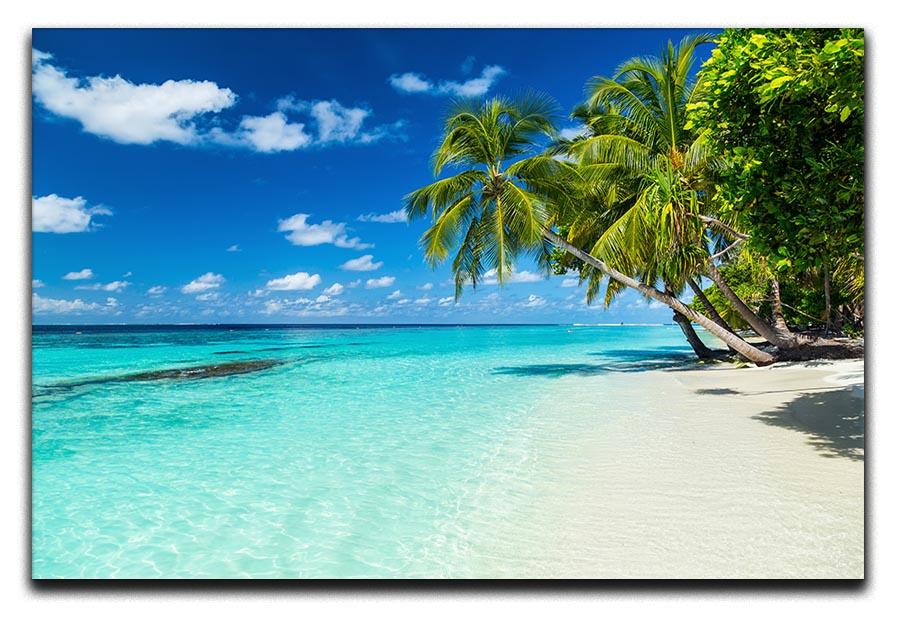 coco palms on paradise beach Canvas Print or Poster - Canvas Art Rocks - 1