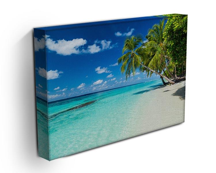 coco palms on paradise beach Canvas Print or Poster - Canvas Art Rocks - 3