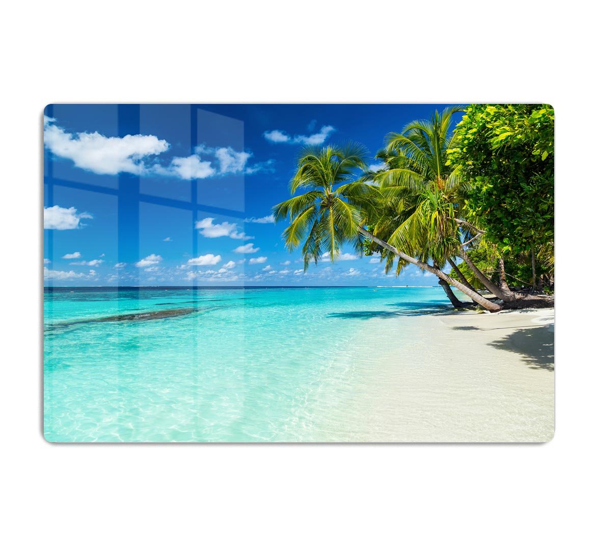 coco palms on paradise beach HD Metal Print - Canvas Art Rocks - 1