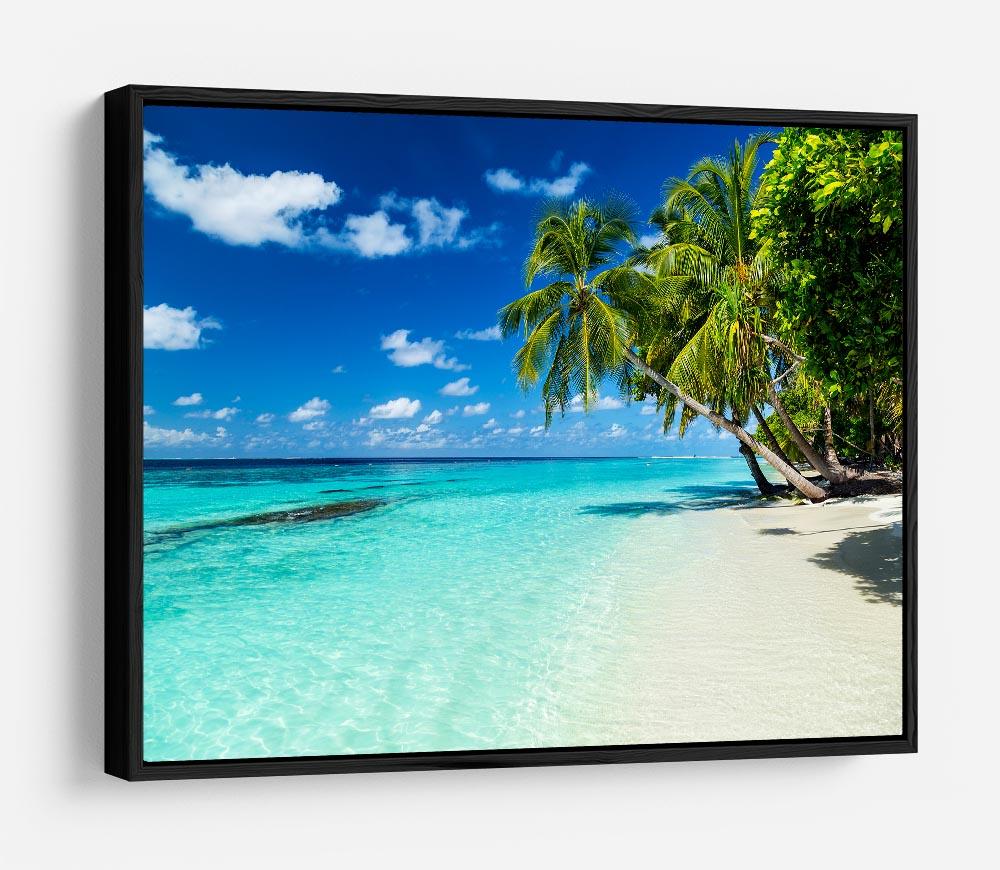coco palms on paradise beach HD Metal Print - Canvas Art Rocks - 6