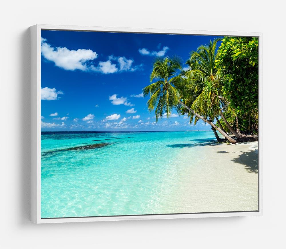 coco palms on paradise beach HD Metal Print - Canvas Art Rocks - 7