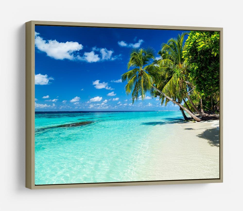 coco palms on paradise beach HD Metal Print - Canvas Art Rocks - 8