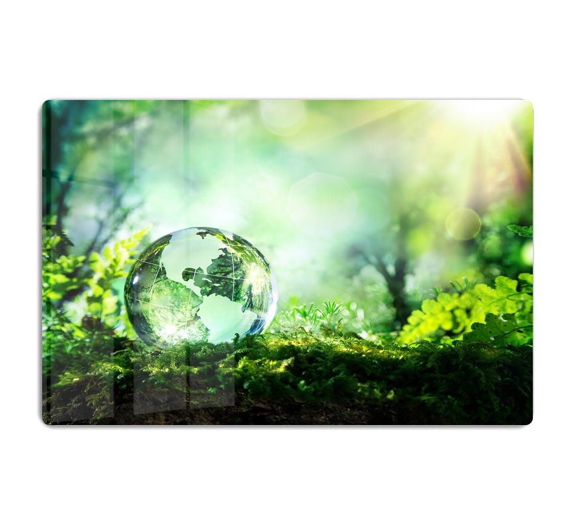 crystal globe on moss in a forest HD Metal Print