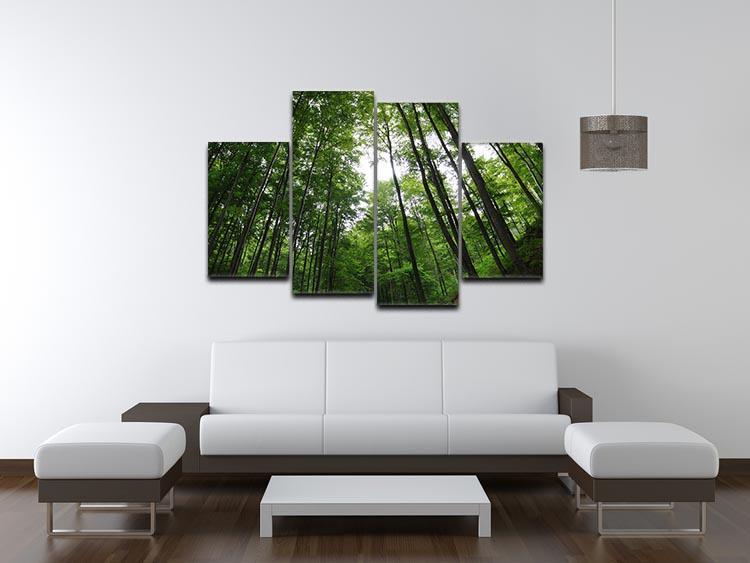 deciduous forest 4 Split Panel Canvas  - Canvas Art Rocks - 3
