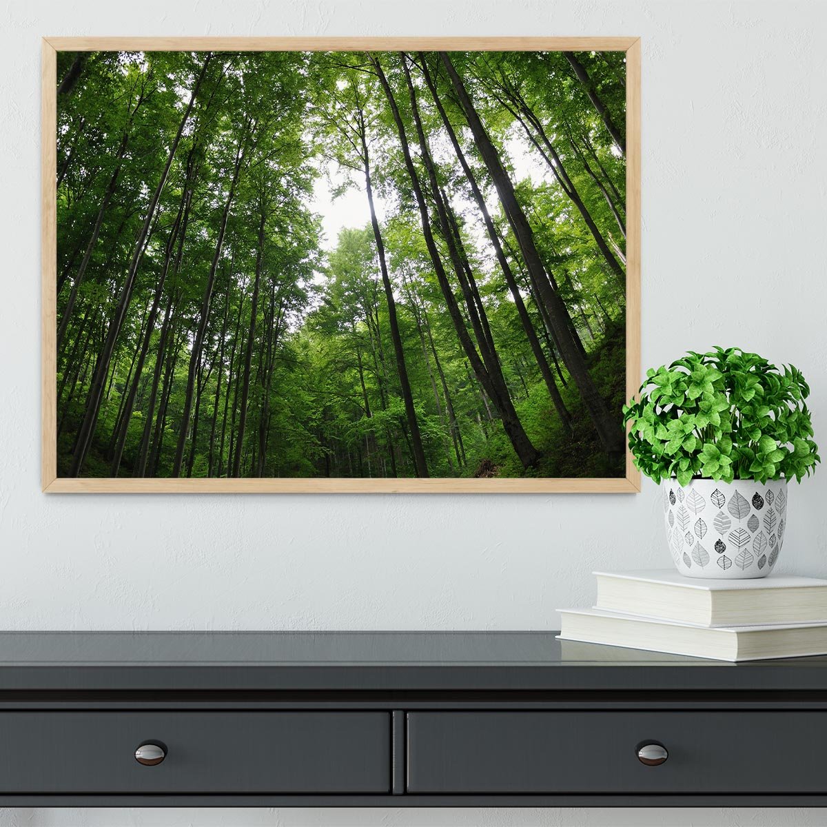 deciduous forest Framed Print - Canvas Art Rocks - 4