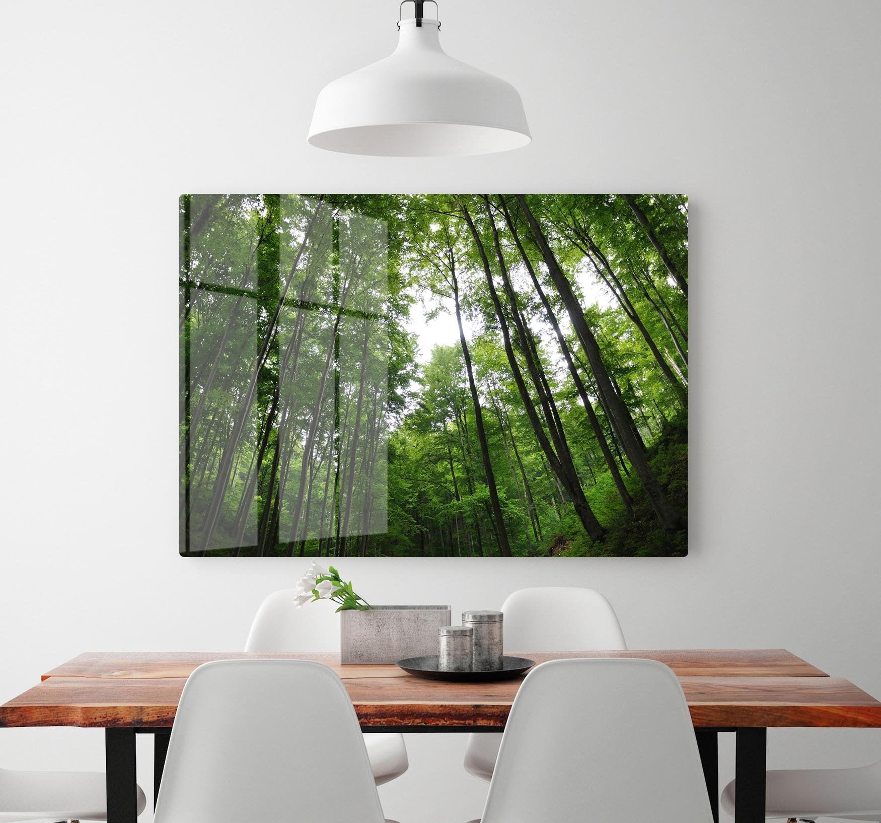 deciduous forest HD Metal Print