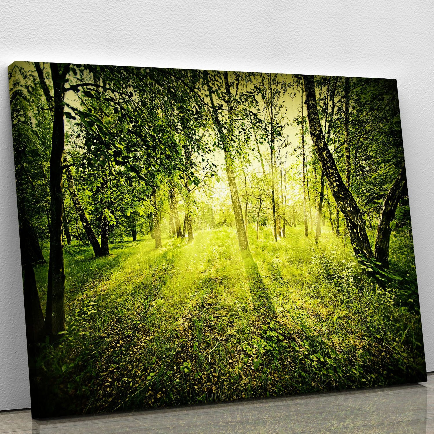 deep forest on summer morning Canvas Print or Poster