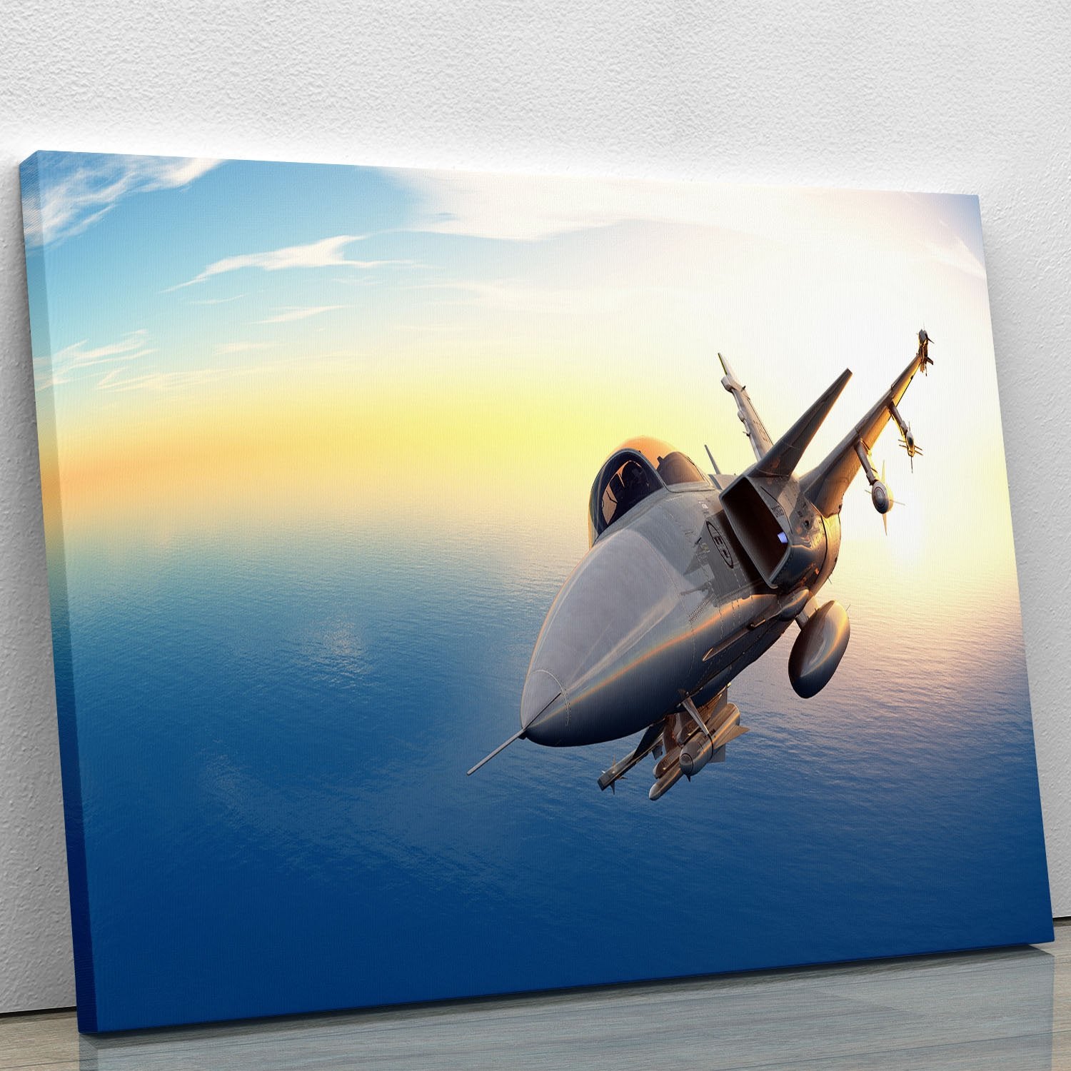 fighter 2 Canvas Print or Poster