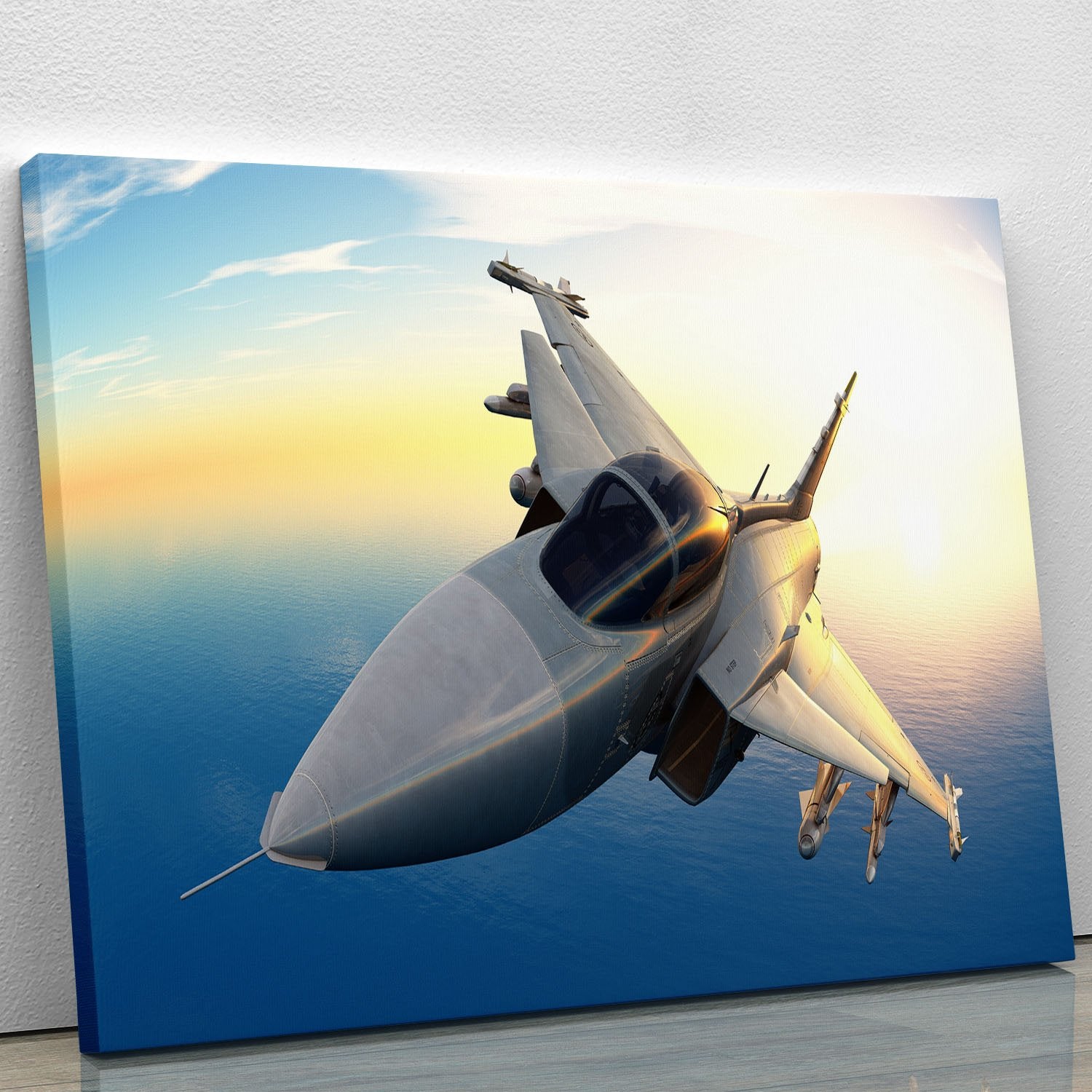 fighter Canvas Print or Poster