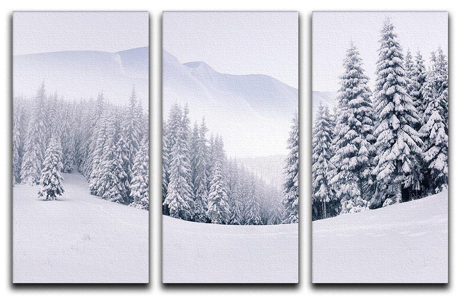foggy winter landscape 3 Split Panel Canvas Print - Canvas Art Rocks - 1