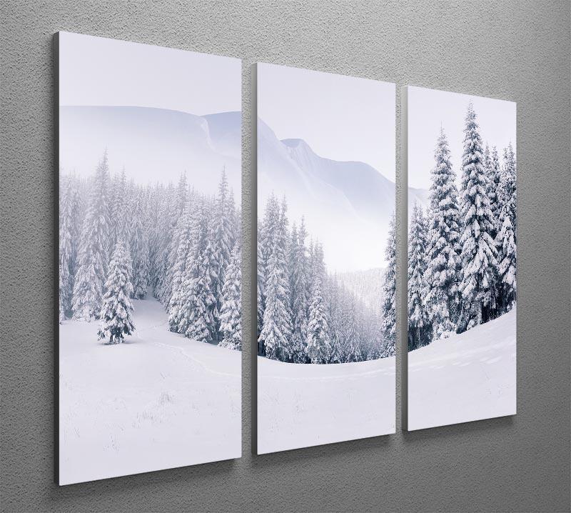 foggy winter landscape 3 Split Panel Canvas Print - Canvas Art Rocks - 2