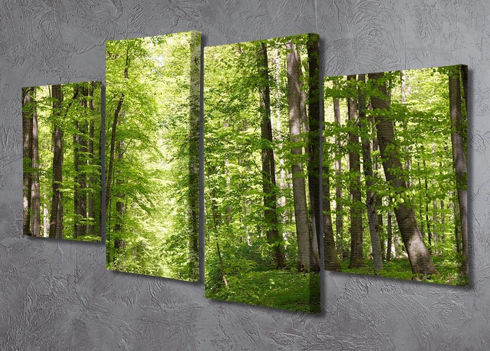 forest during spring 4 Split Panel Canvas  - Canvas Art Rocks - 2