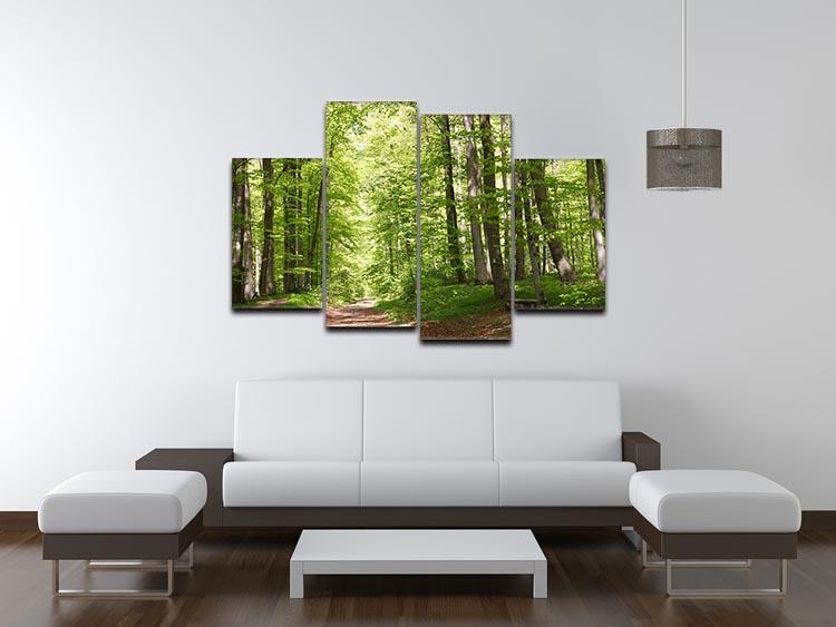 forest during spring 4 Split Panel Canvas  - Canvas Art Rocks - 3