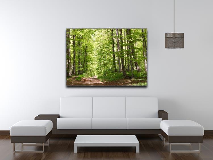 forest during spring Canvas Print or Poster - Canvas Art Rocks - 4