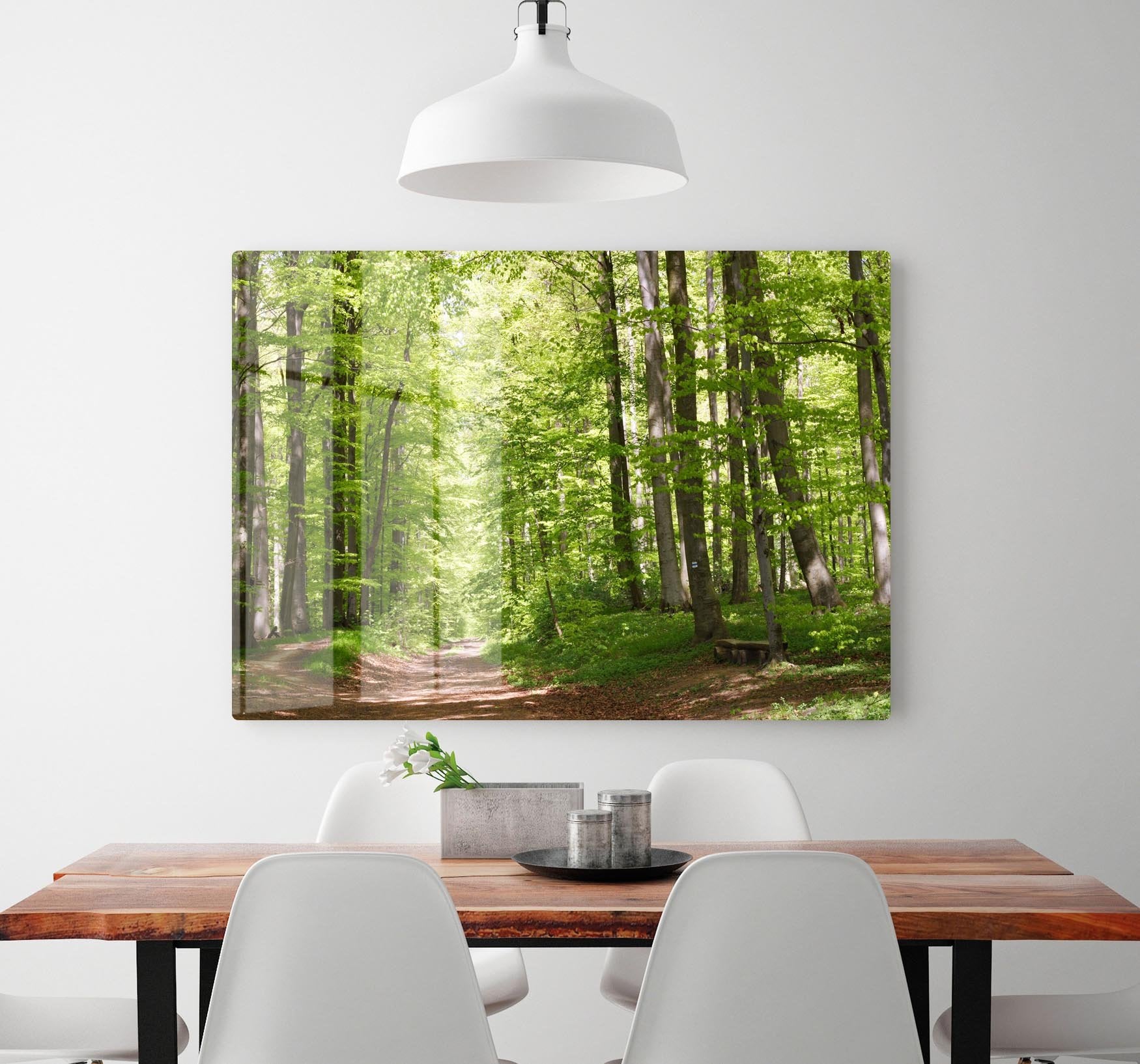 forest during spring HD Metal Print