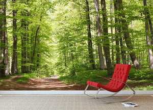 forest during spring Wall Mural Wallpaper - Canvas Art Rocks - 2