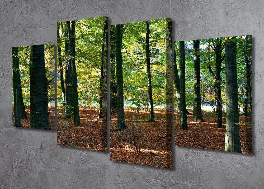forrest edge in autumn 4 Split Panel Canvas  - Canvas Art Rocks - 2
