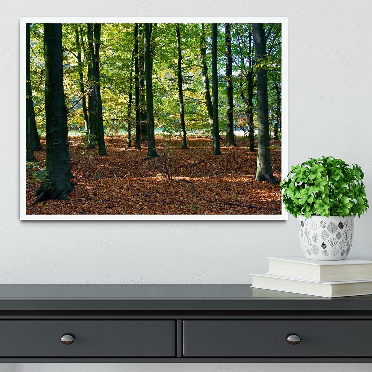 forrest edge in autumn Framed Print - Canvas Art Rocks -6